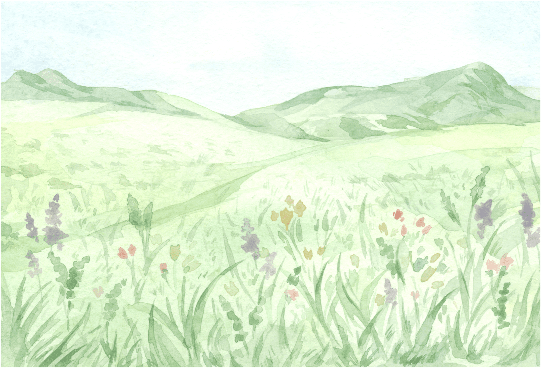 Watercolor Meadow